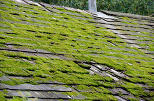 Roof Moss Removal Broxburn