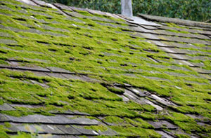 Roof Moss Removal Boxley Roof Moss Removal Boxley