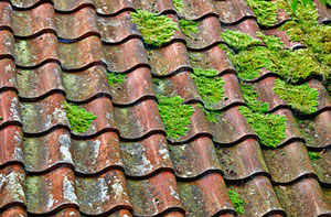 Roof Moss Removal Stone UK (01785)