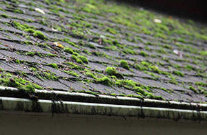 Roof Moss Removal Peterborough